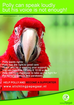 Download Polly can speak loudly!